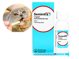 猫用セミントラ・慢性腎臓病治療
